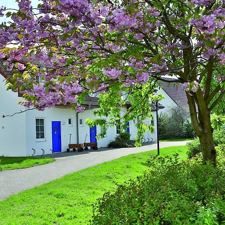 Feriendorf Rerik Zewnętrze zdjęcie