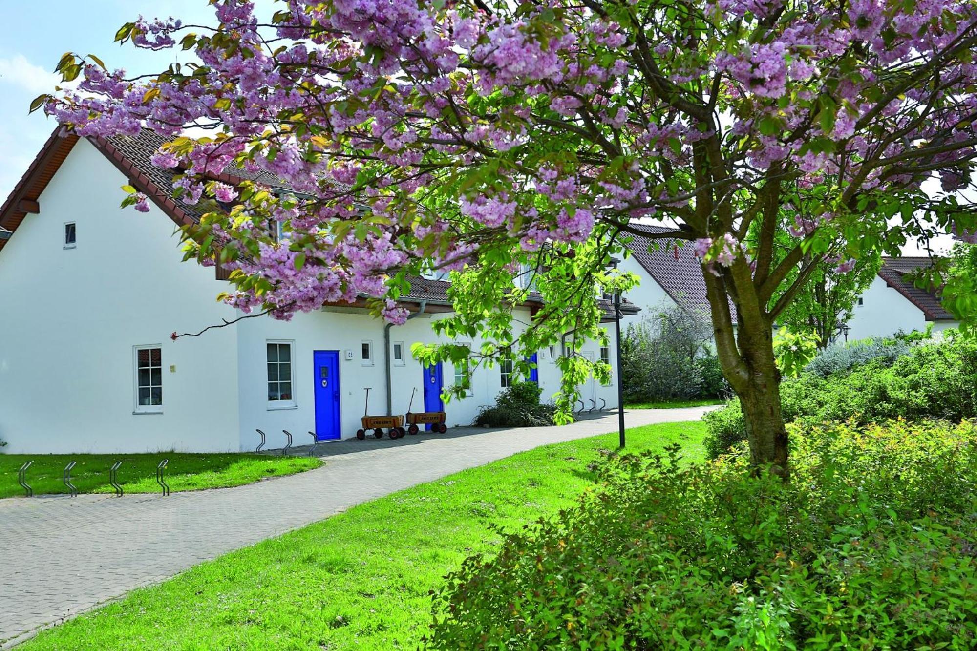 Feriendorf Rerik Zewnętrze zdjęcie